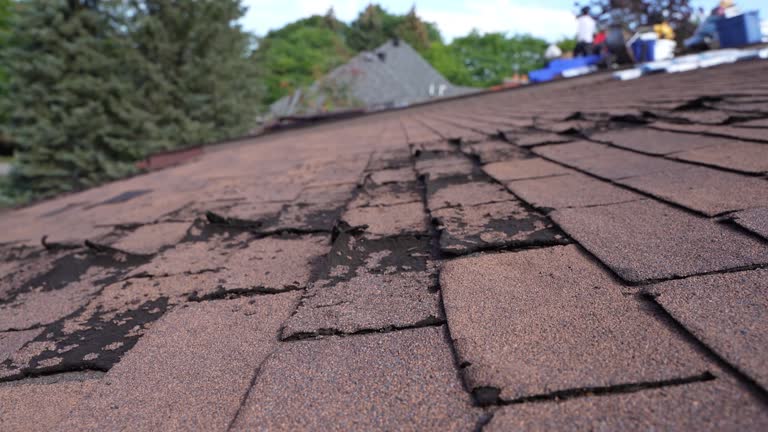 Best Emergency Roof Repair Services  in West Hills, PA